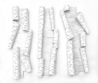 Angular Birch Scrolls