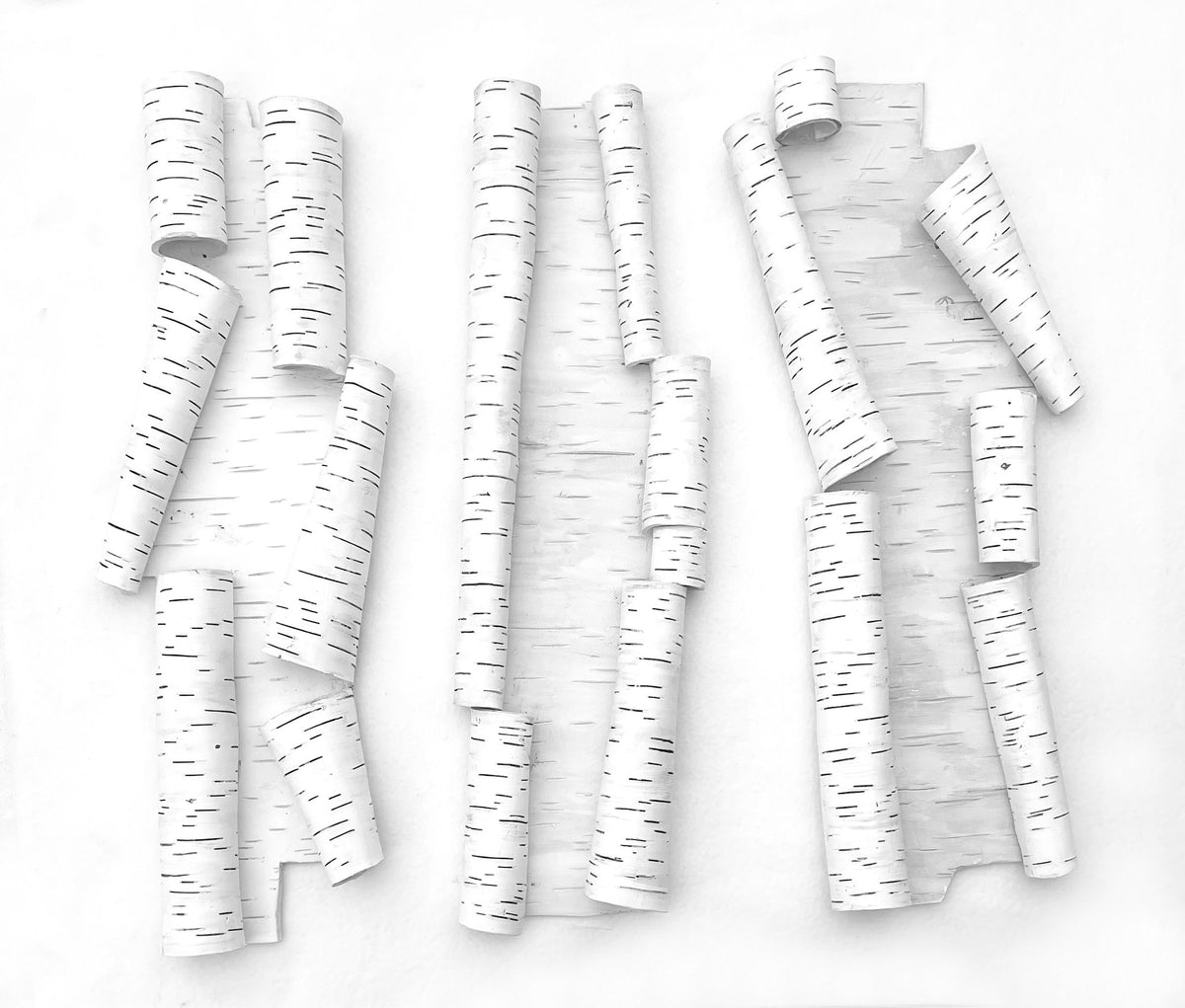 Angular Birch Scrolls