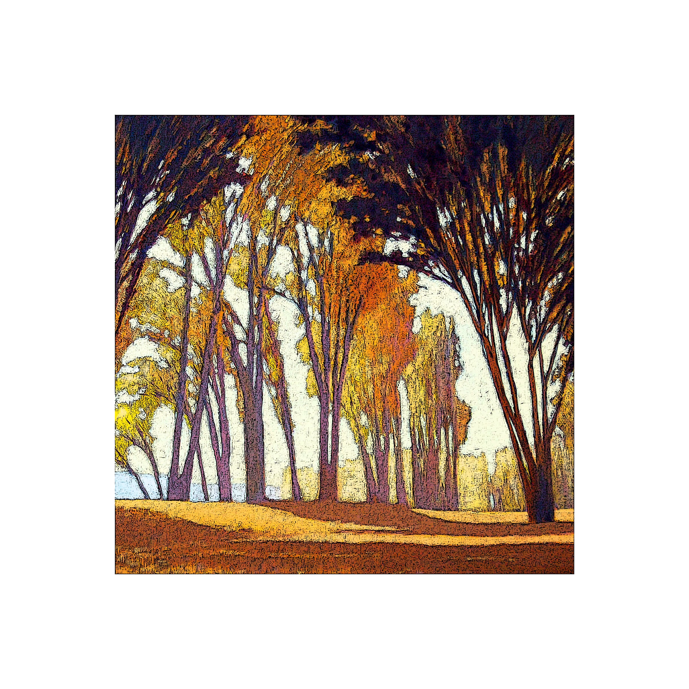 Autumn Woodland 1