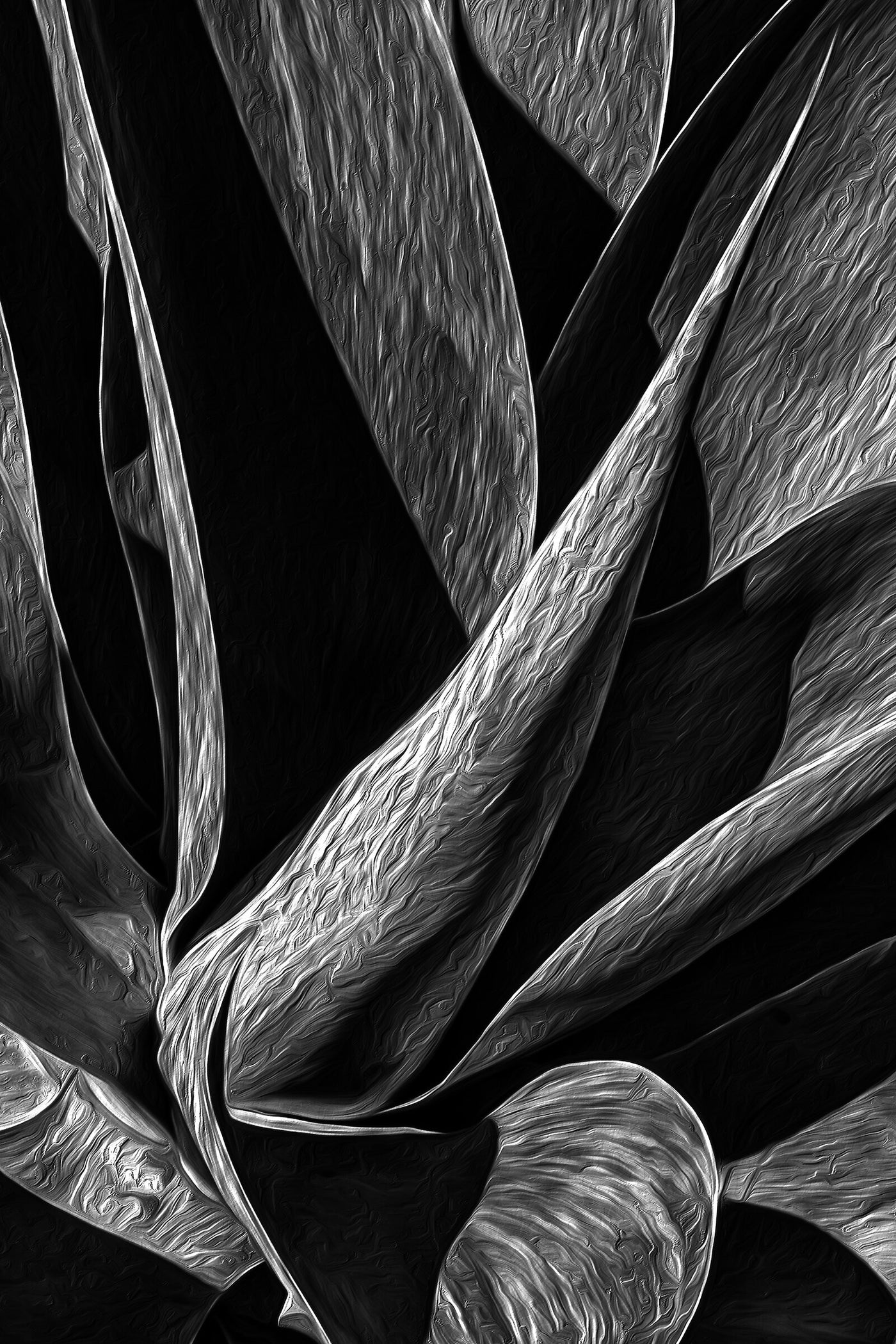 LotusLand 2