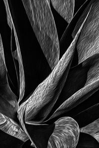 LotusLand 2