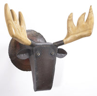 Moose in the Woods