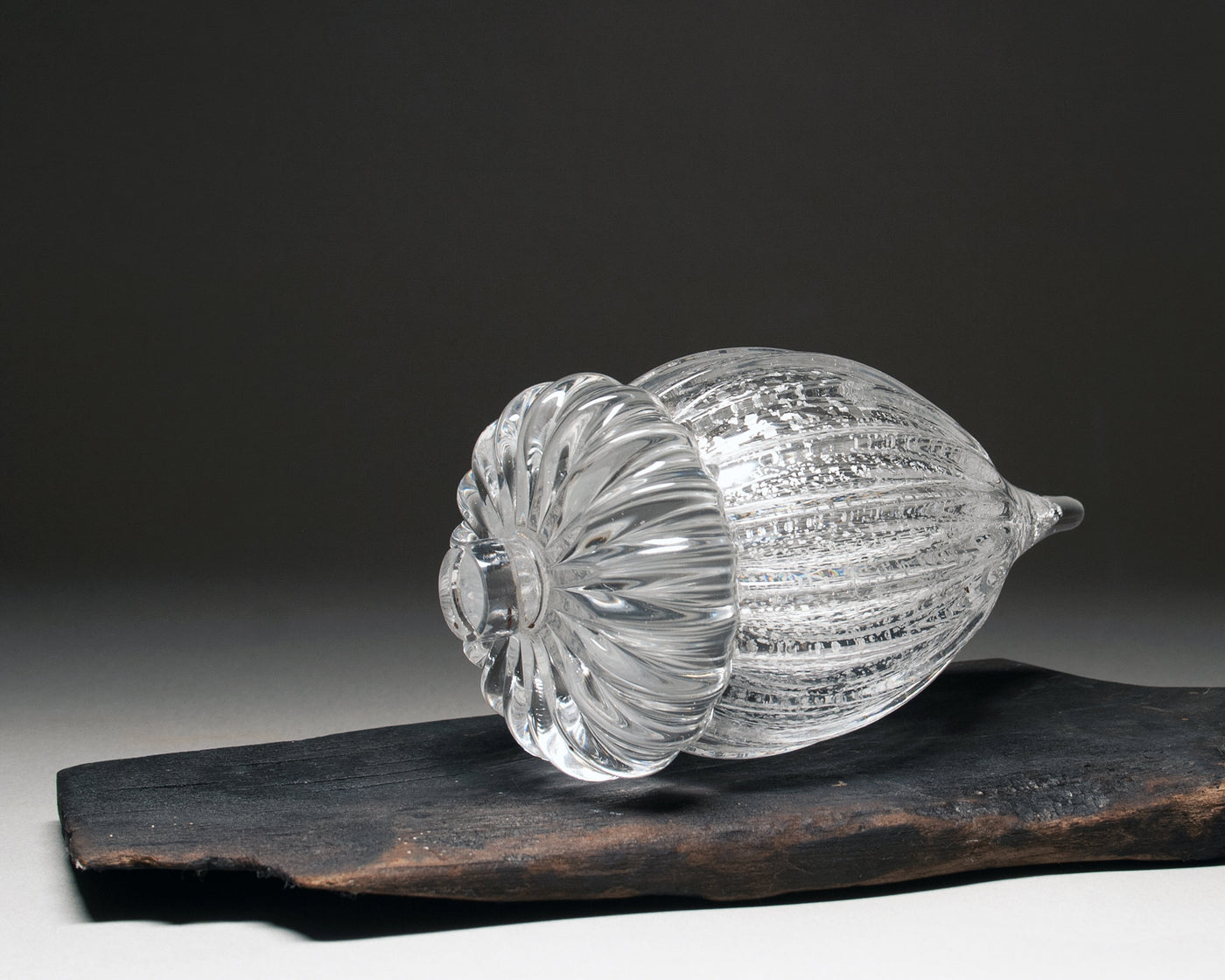 Silver Leaf Acorn