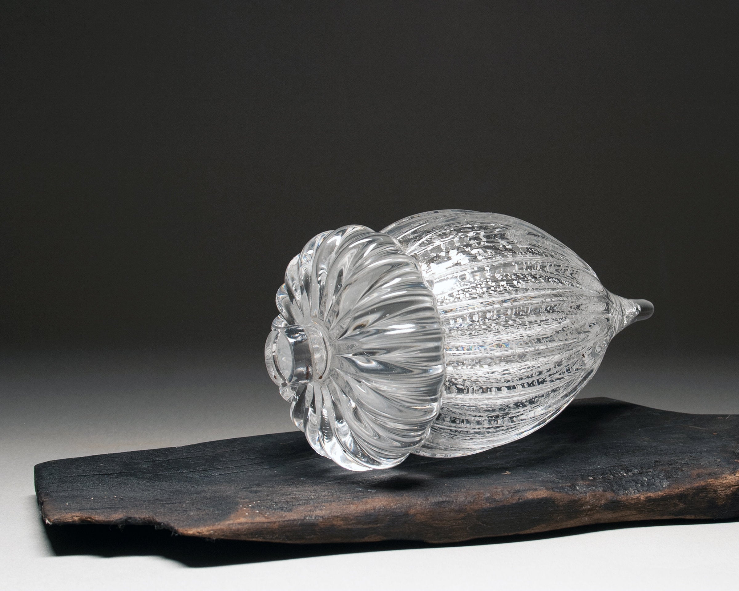 Silver Leaf Acorn