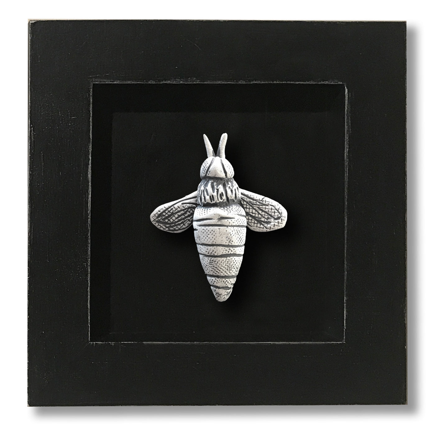 Connections Series: Bee
