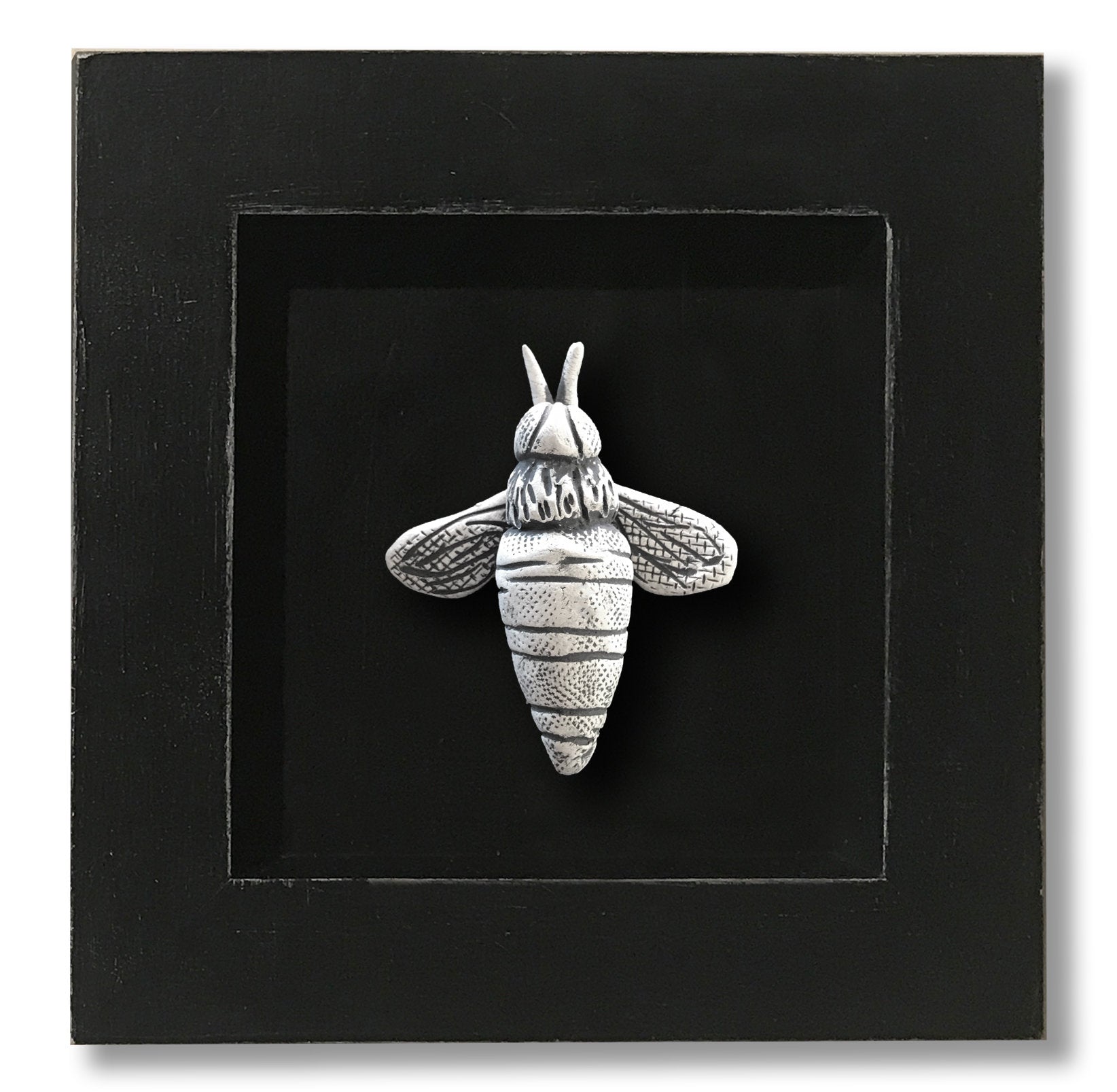 Connections Series: Bee