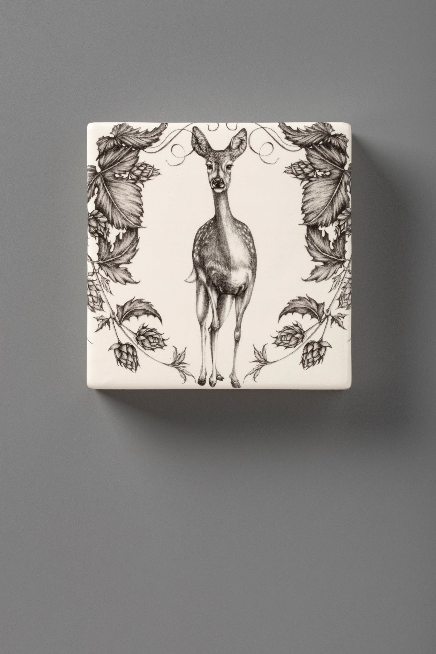 Wall Box: Fallow Doe