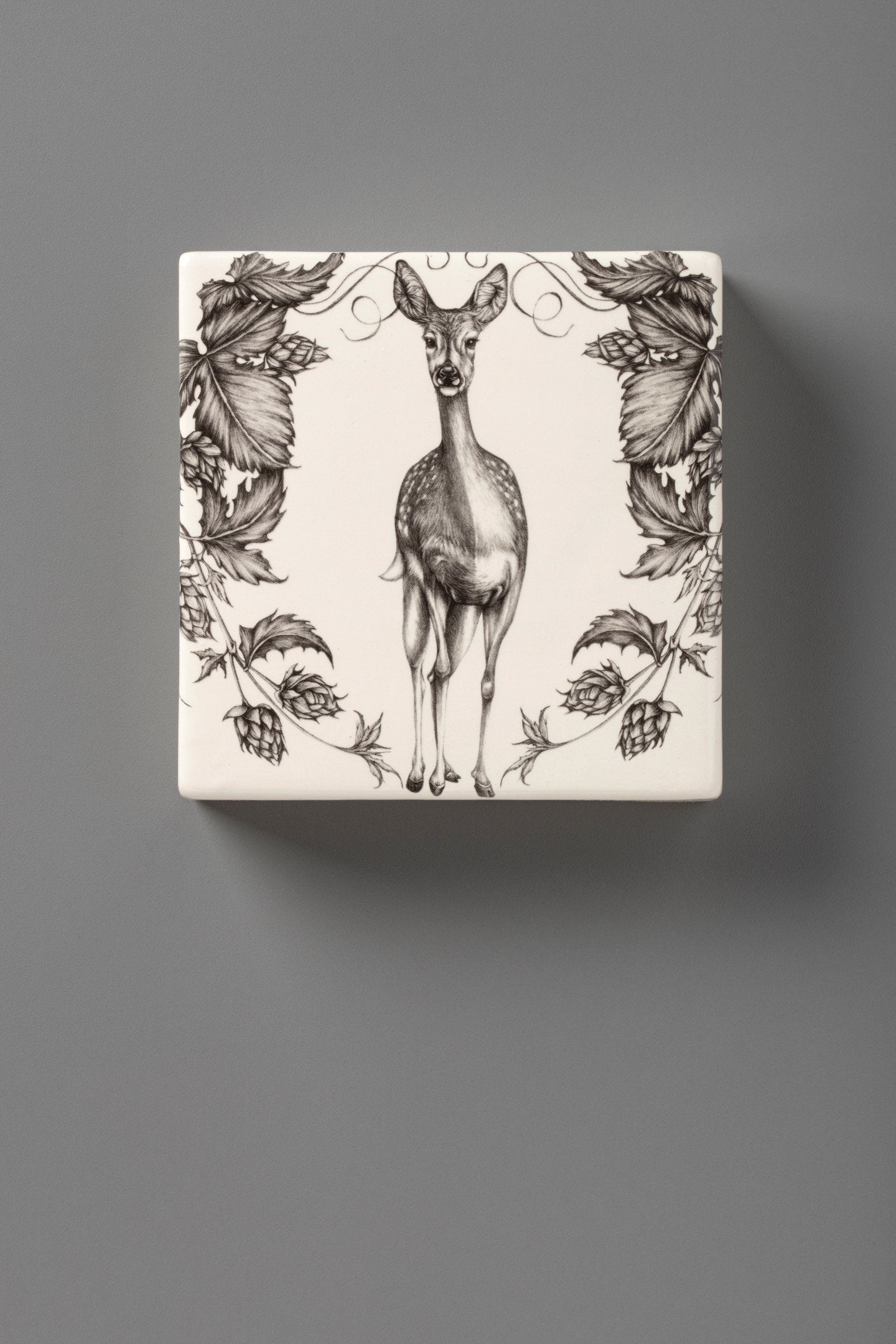 Wall Box: Fallow Doe