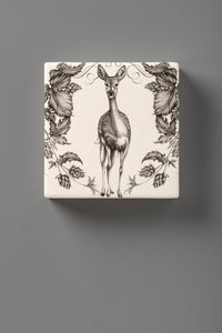 Wall Box: Fallow Doe