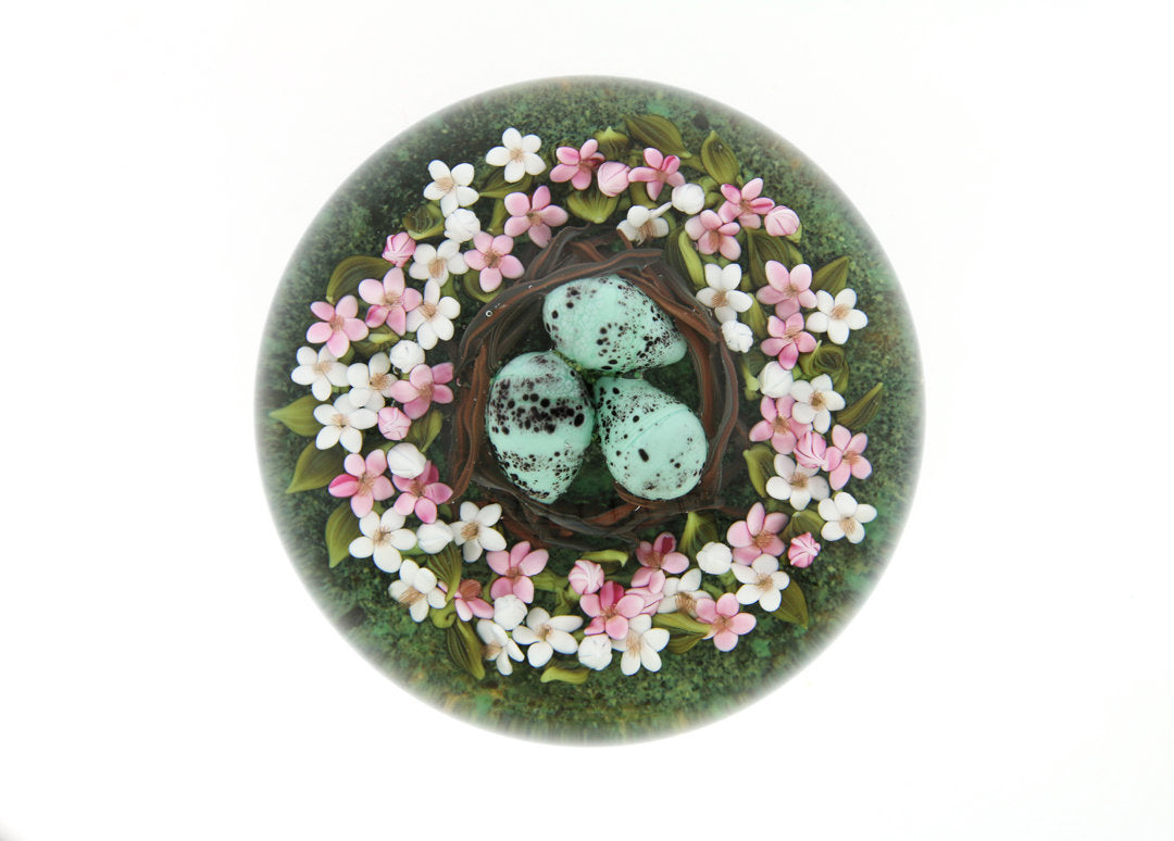 Robin's Eggs in Nest