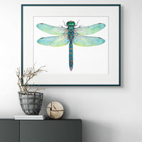 Green Dragonfly - Anax Junius