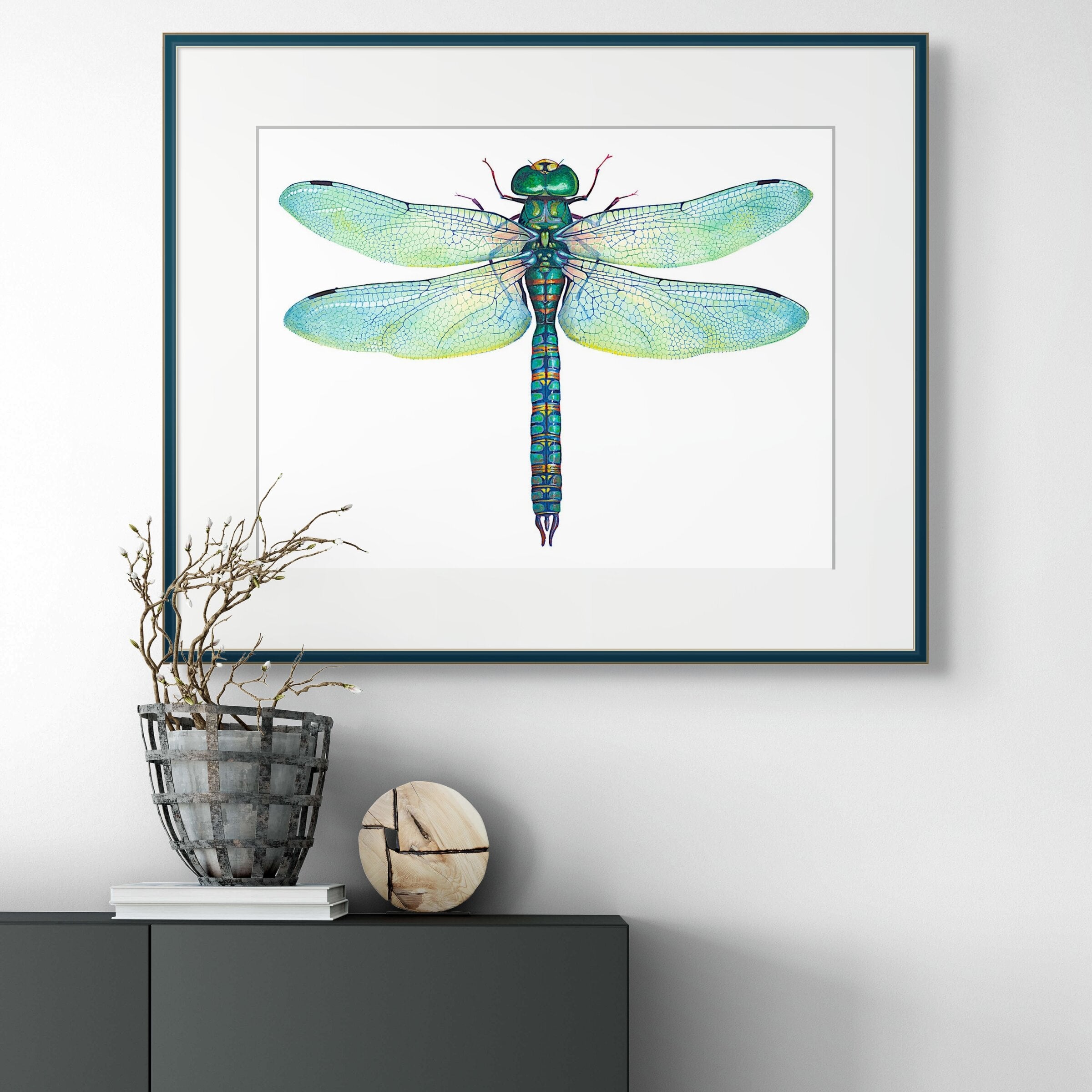 Green Dragonfly - Anax Junius