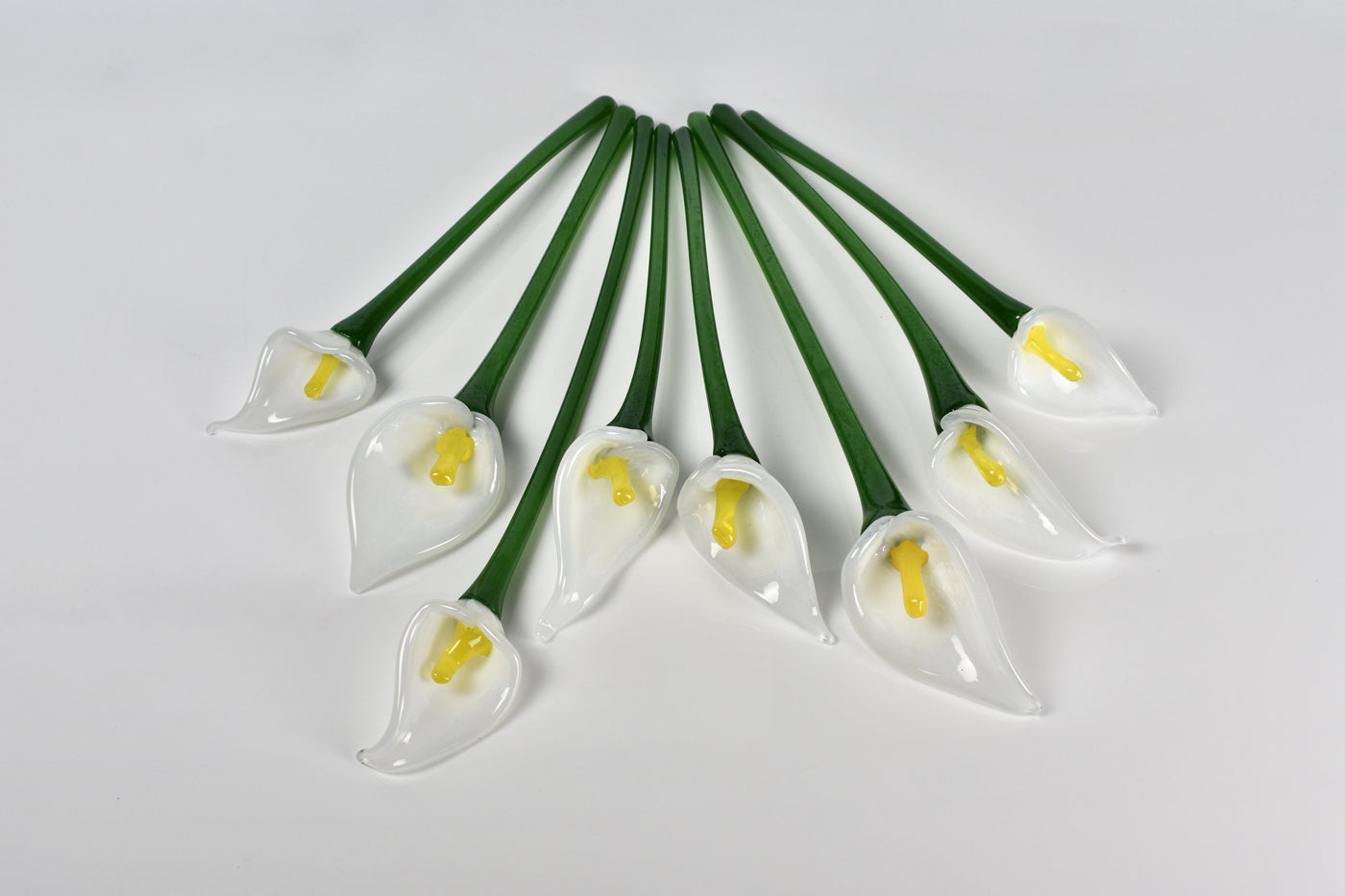 Calla Lily