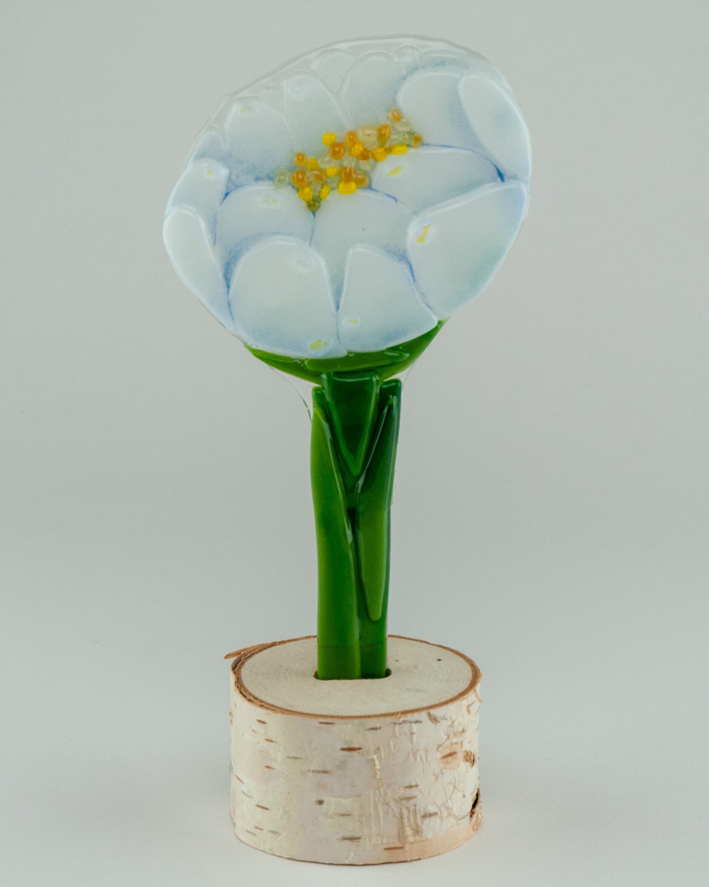 Nervous Groom Peony