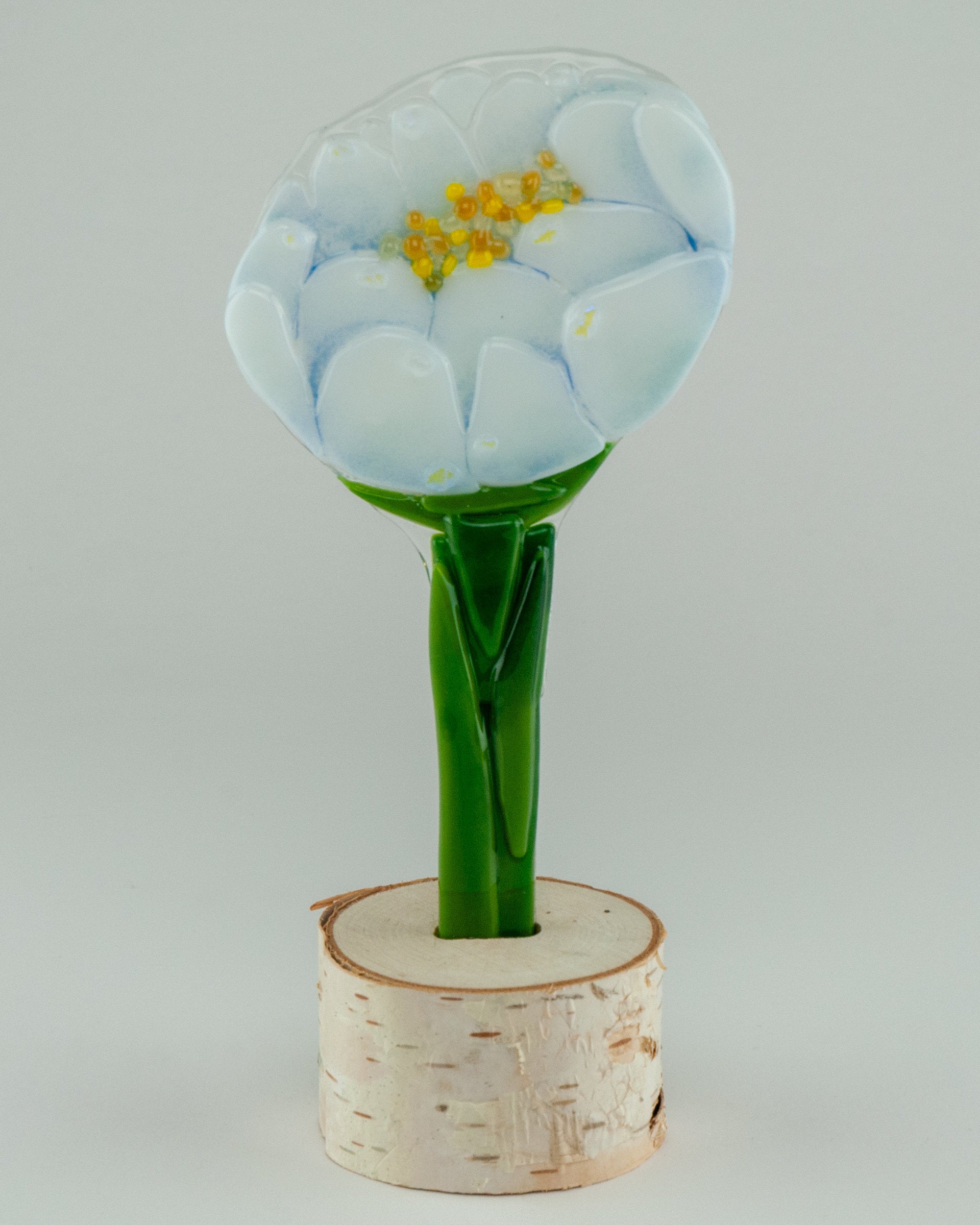 Nervous Groom Peony
