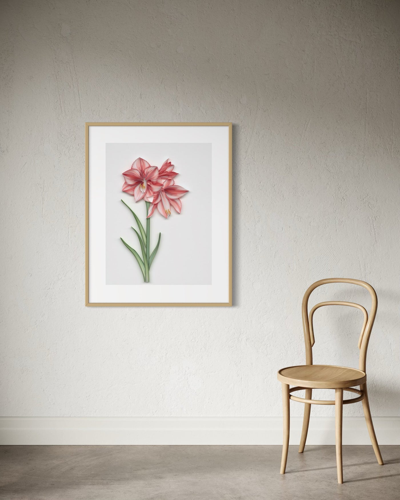 Amaryllis