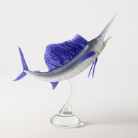 Atlantic Sailfish