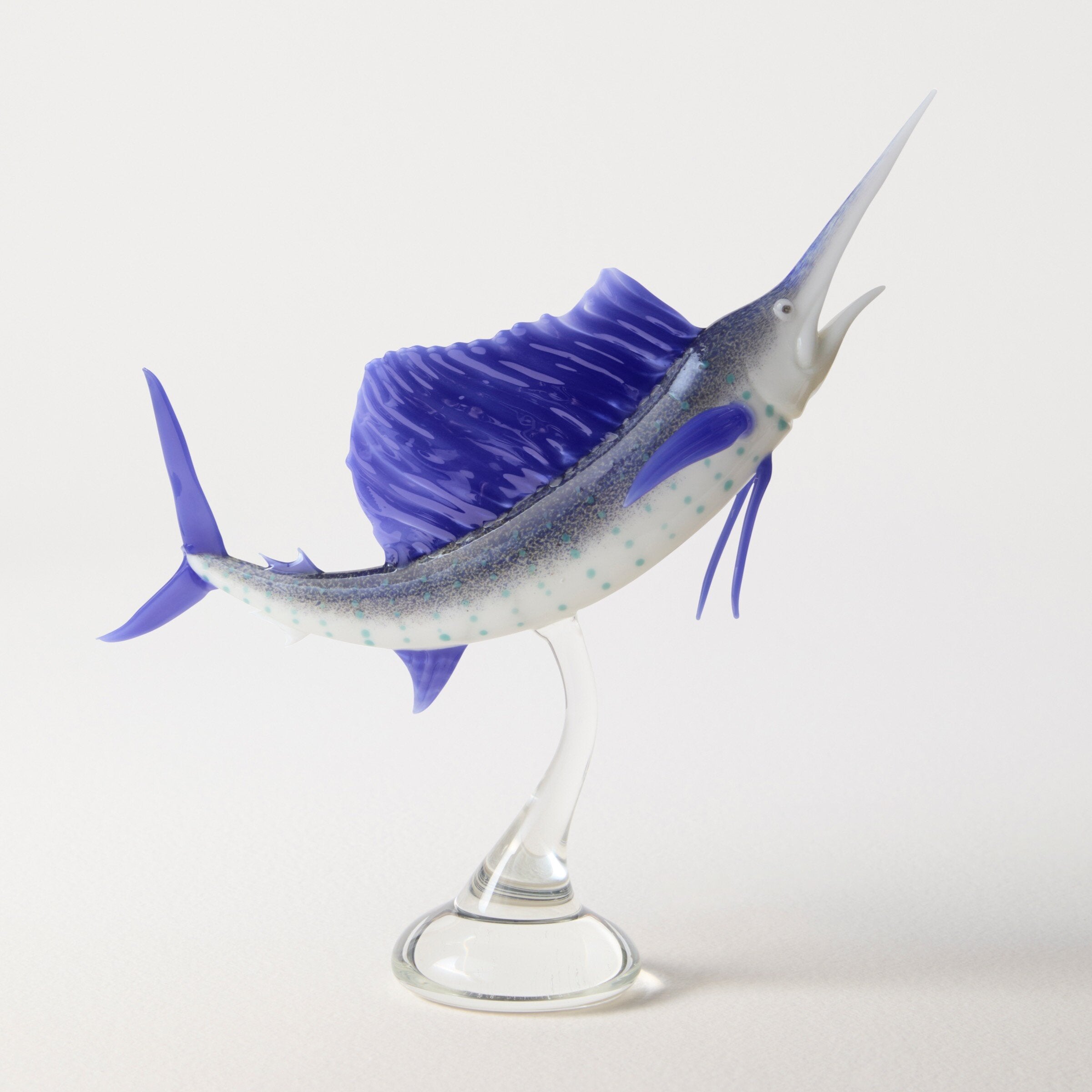 Atlantic Sailfish