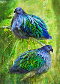 Tropical Gems