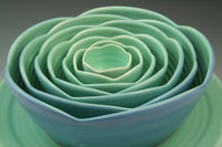 Ranunculus in Blue Vibe