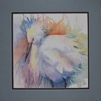 Ruffled Feathers