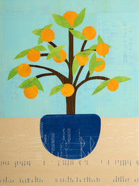Orange Tree No. 2