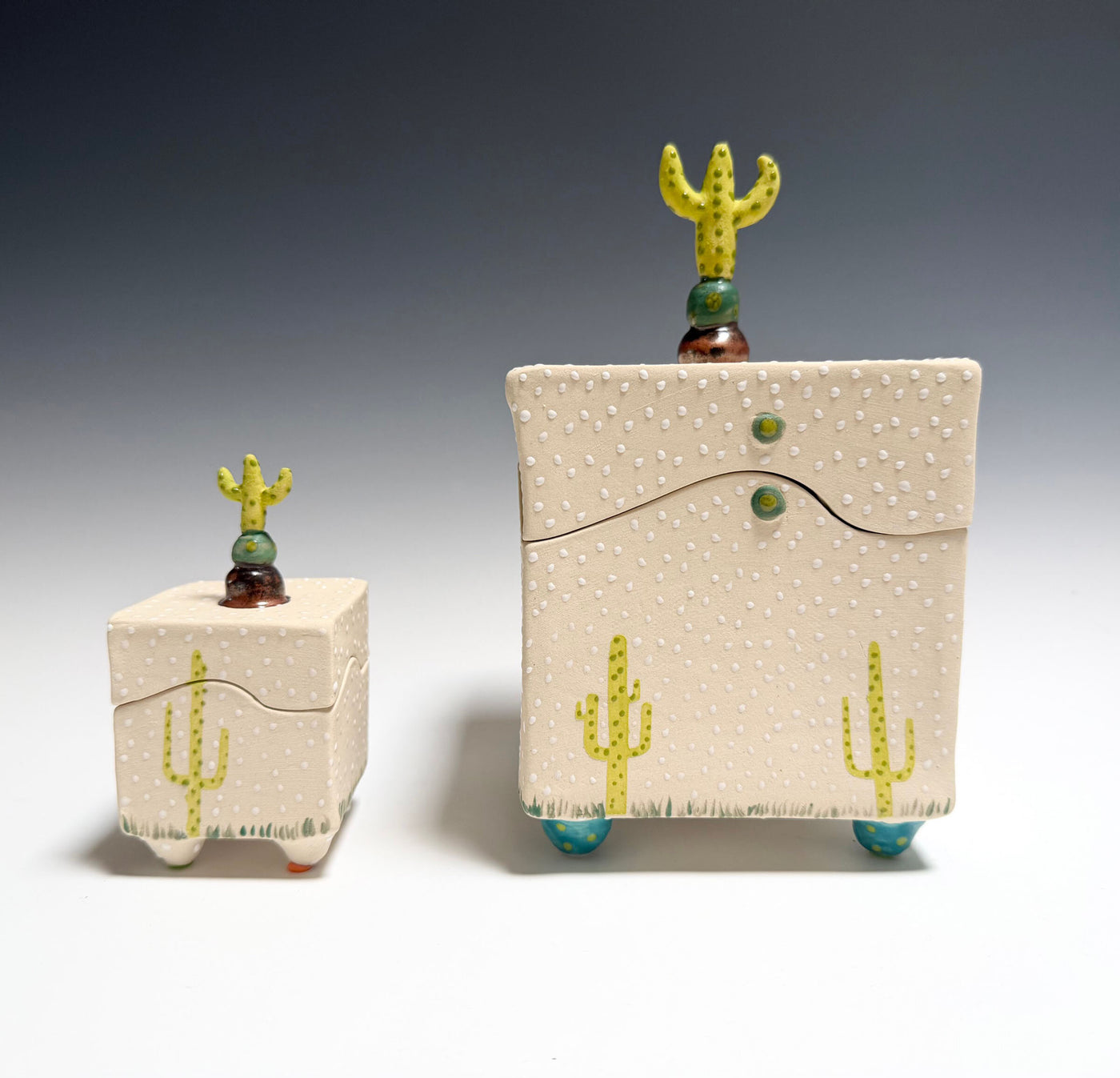 Cactus II Box