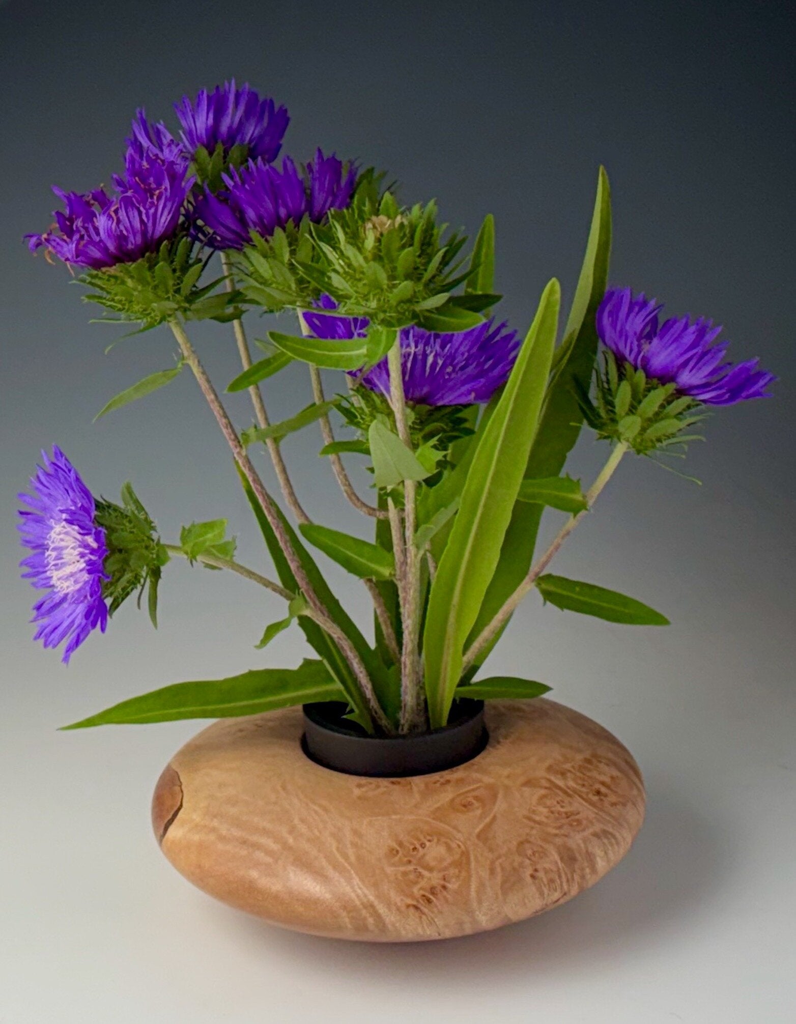 Ikebana of Maple Burl 2