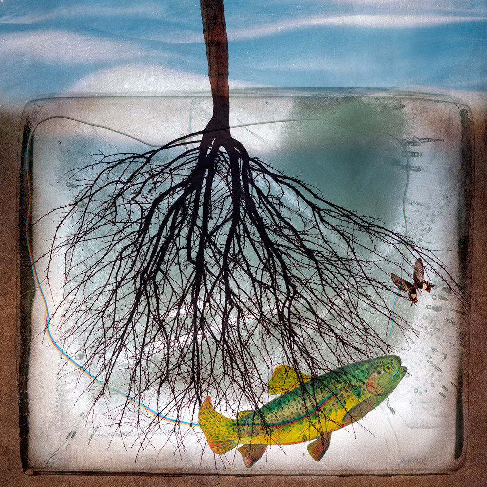 WinterFish