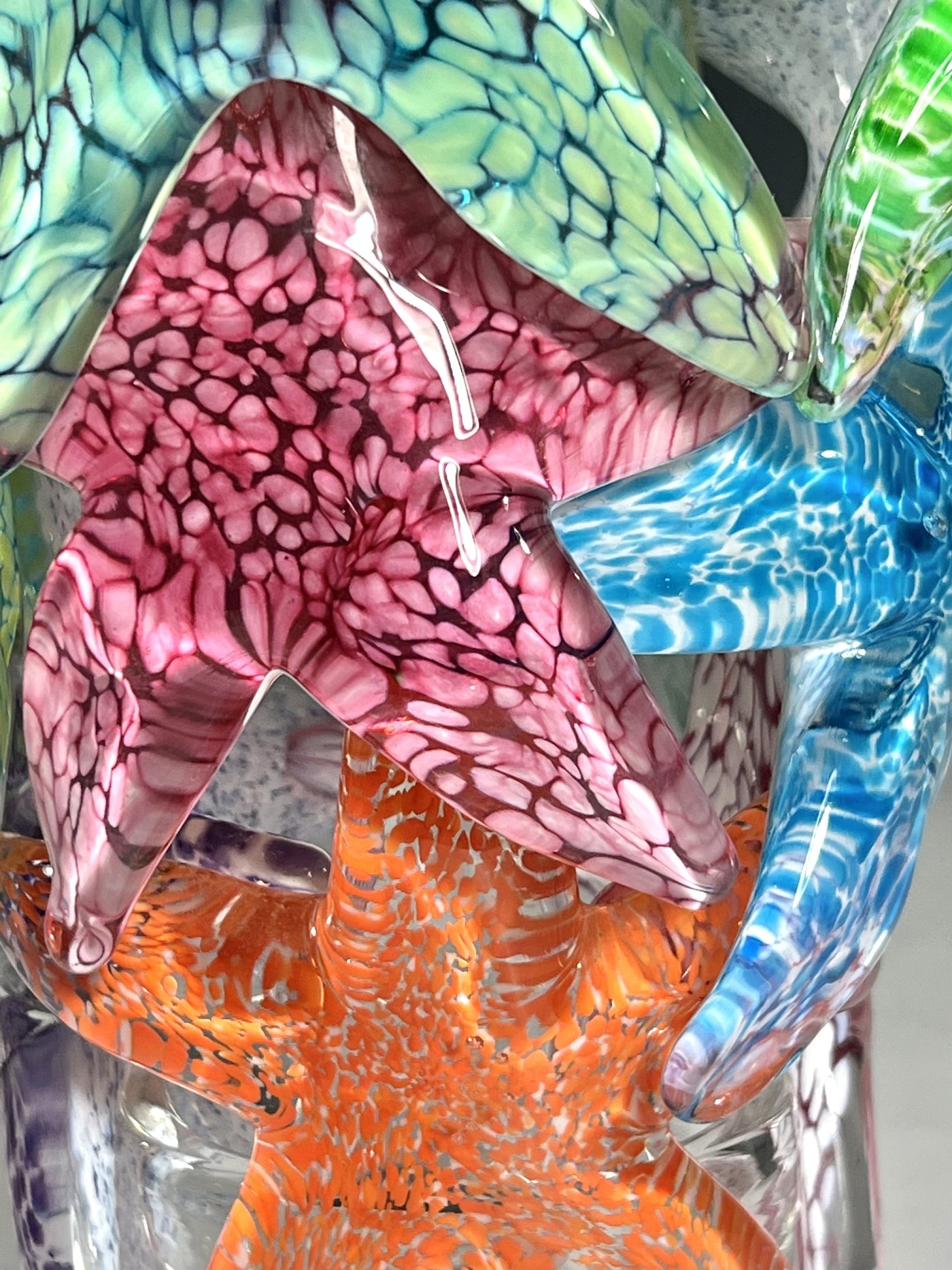 Starfish Cluster III