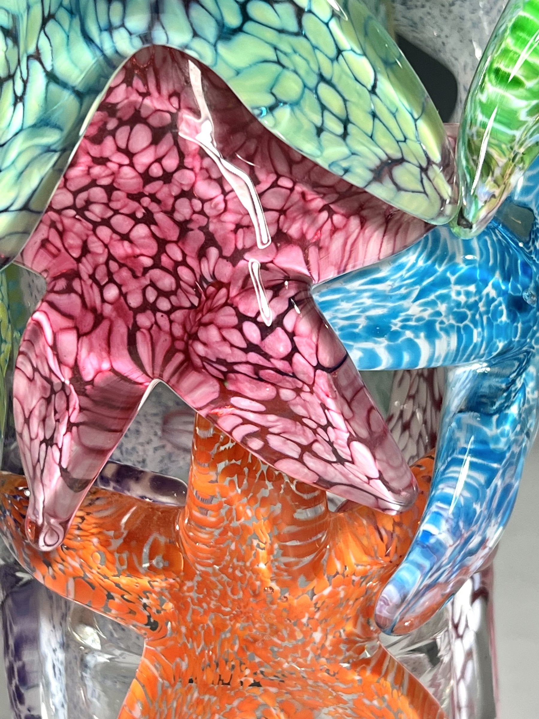 Starfish Cluster III