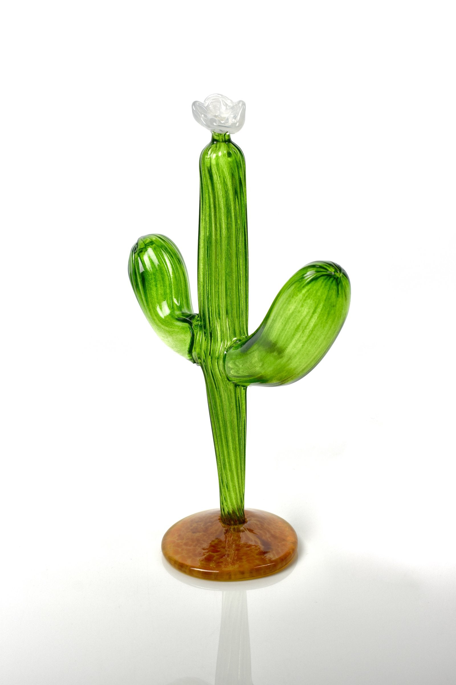 Saguaro
