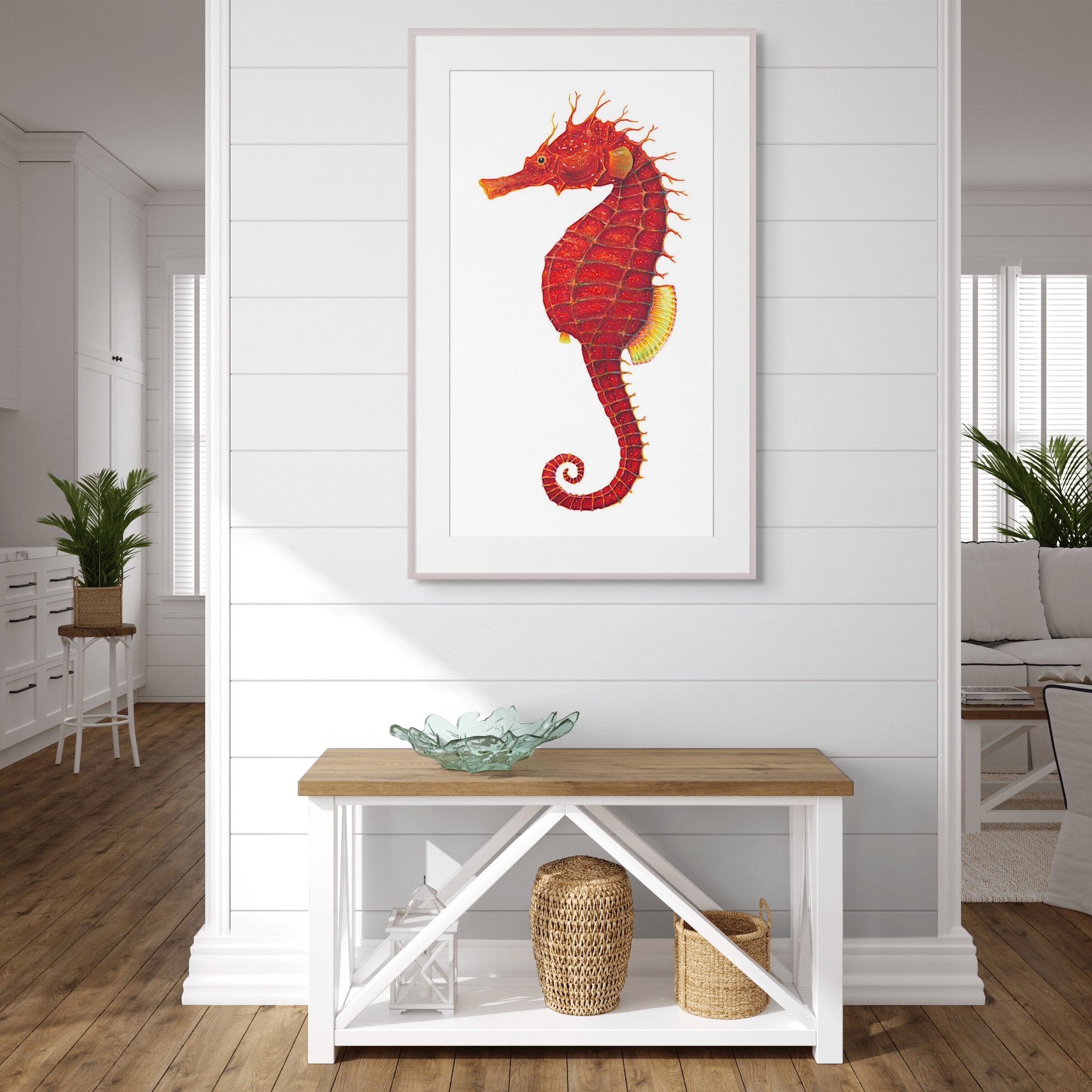 Red Seahorse - Hippocampus Guttulatus