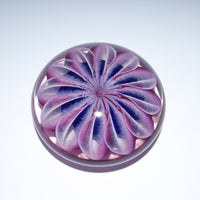 Purple Sea Star