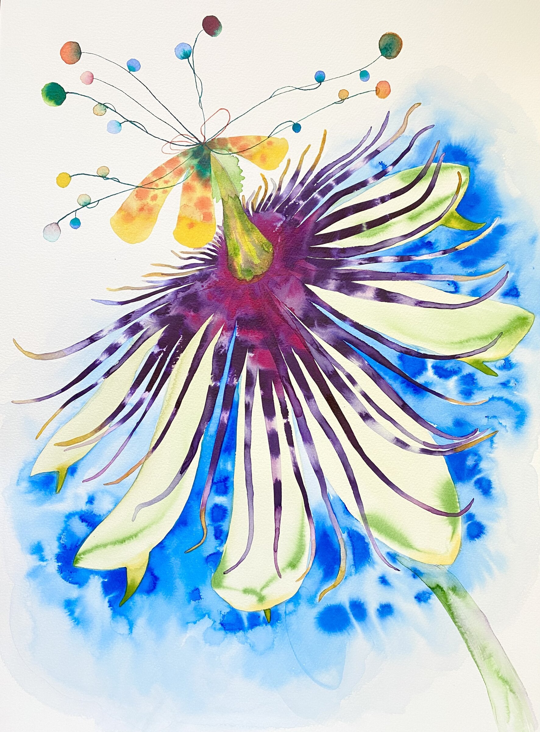 Abstract Passion Flower