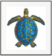 Blue Sea Turtle
