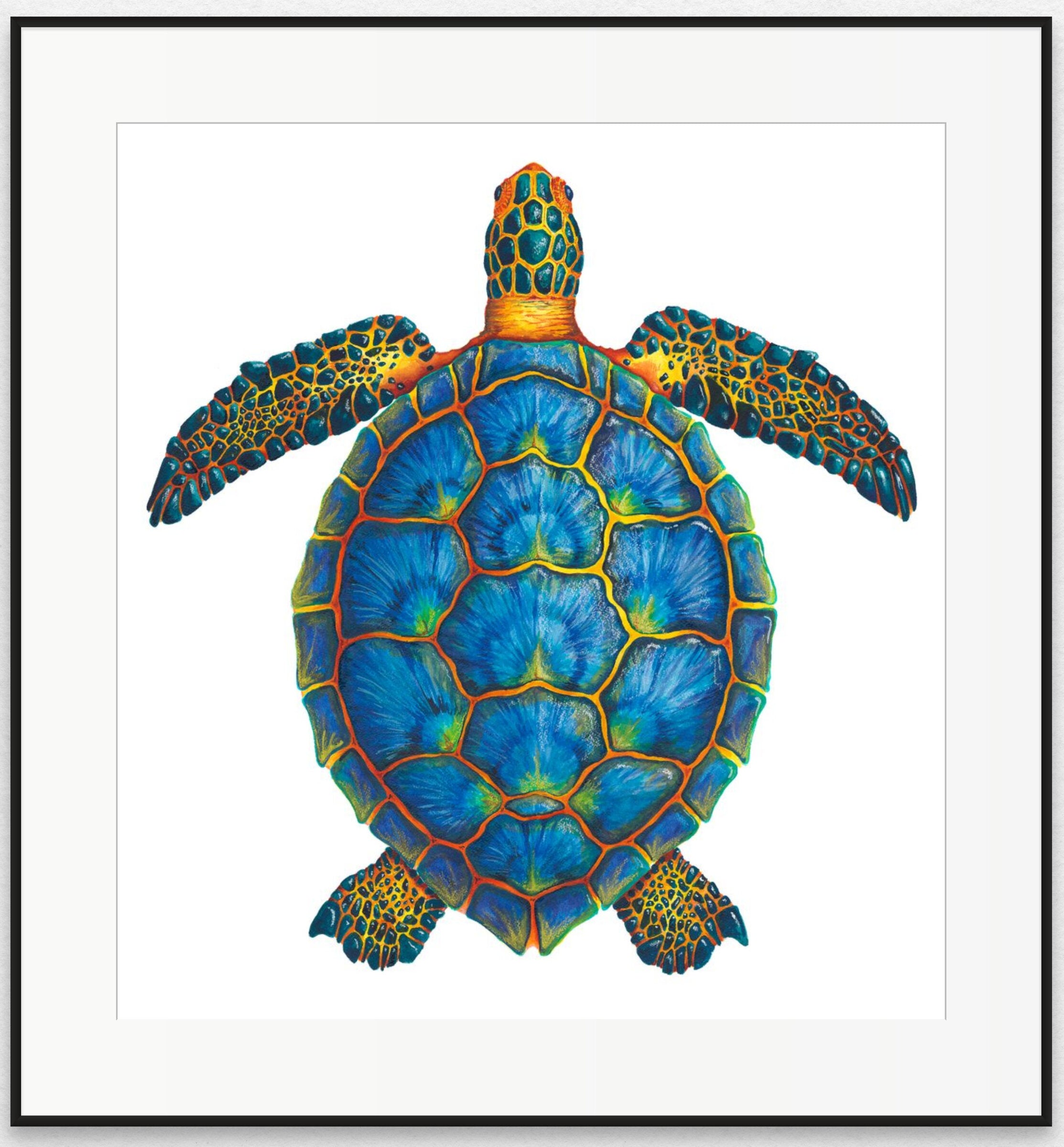 Blue Sea Turtle