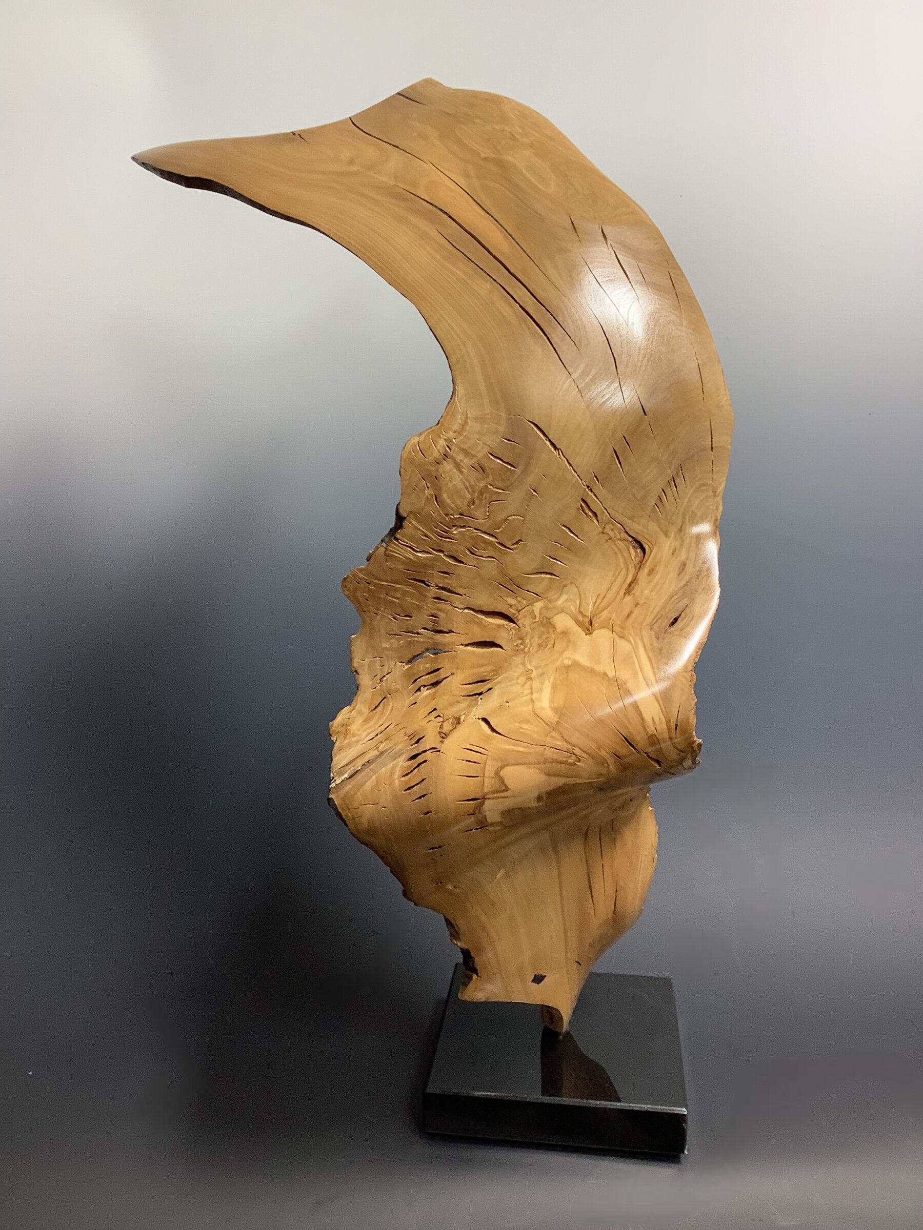 Natural Beauty-Olive Ribbon