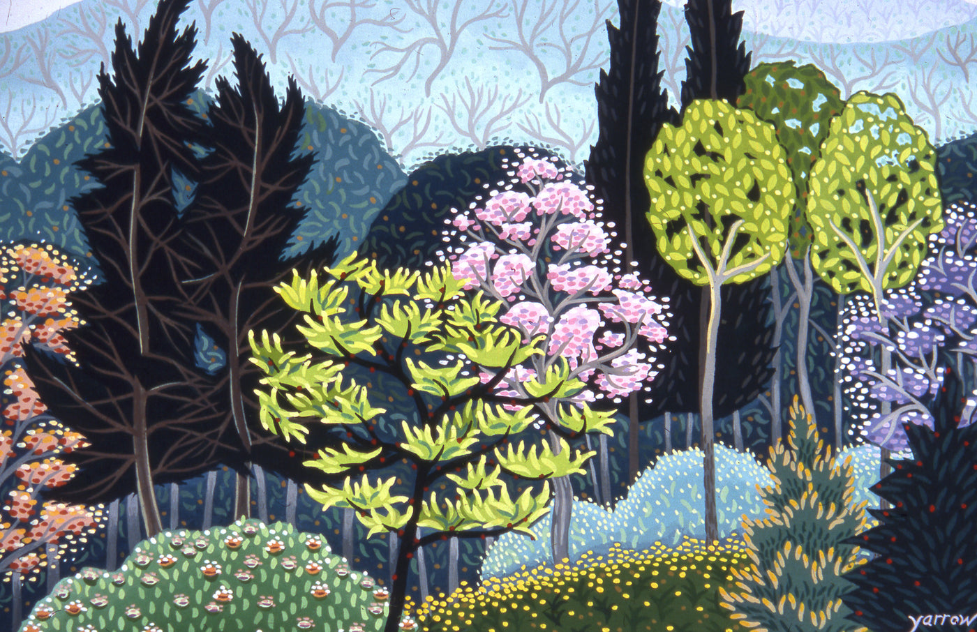 Spring Unfolds