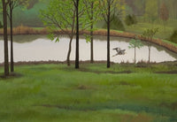 Pond and Heron