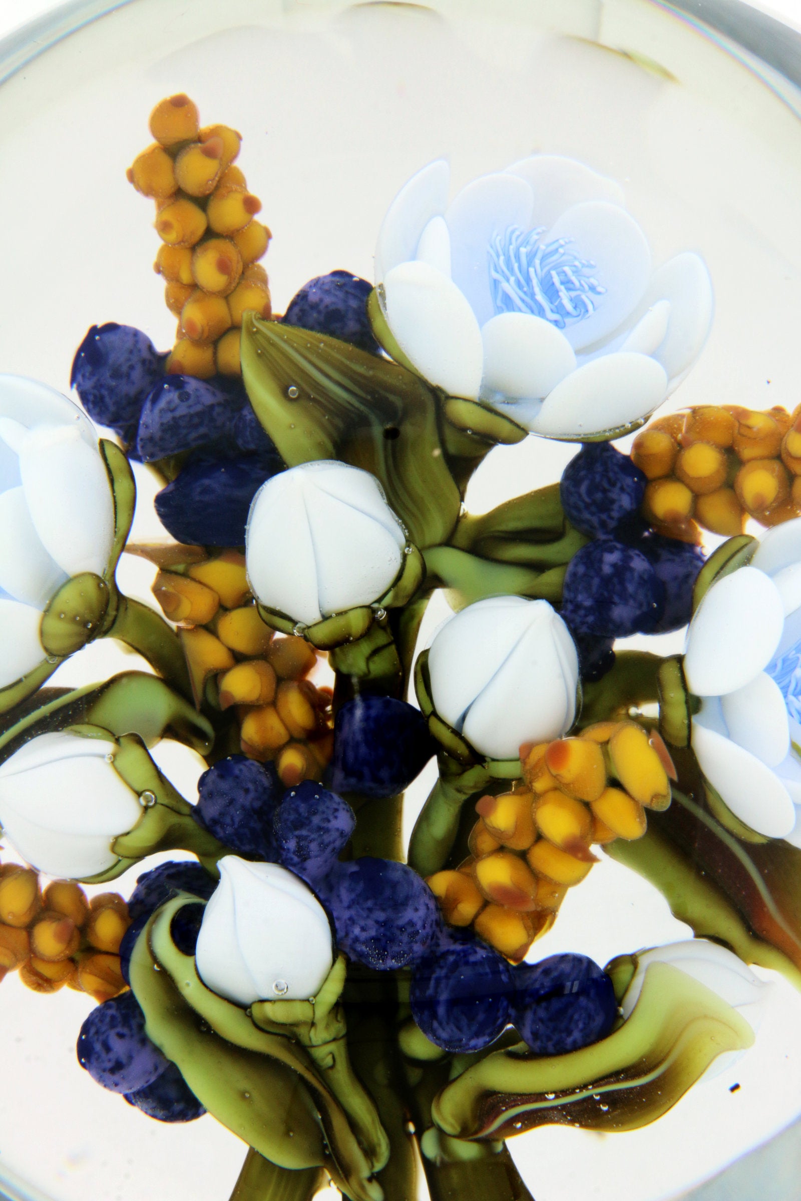 Berkshire Blue Flowers and Blueberries