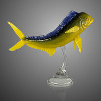 Mahi-mahi