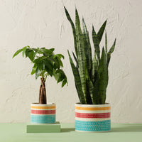Herringbone Planters