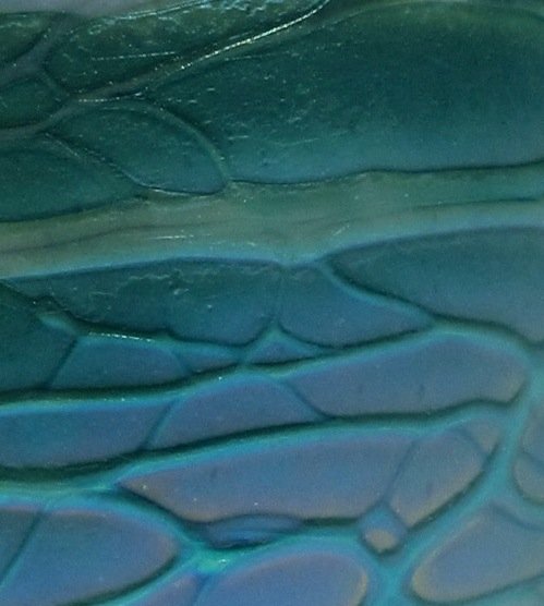 Blue-Green Cylinder