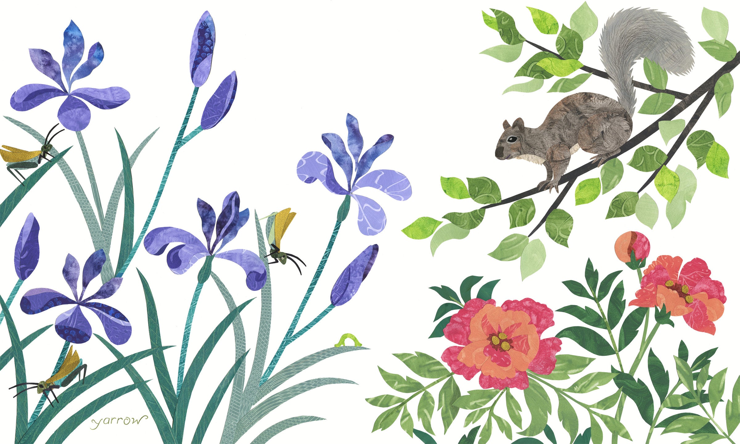 Squirrel's World
