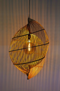Single Shell Light