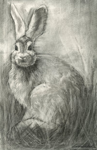 Hare #4