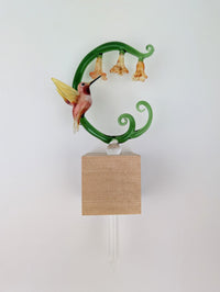 Sherbert Hummingbird