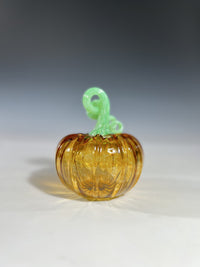 Golden Titan Pumpkin