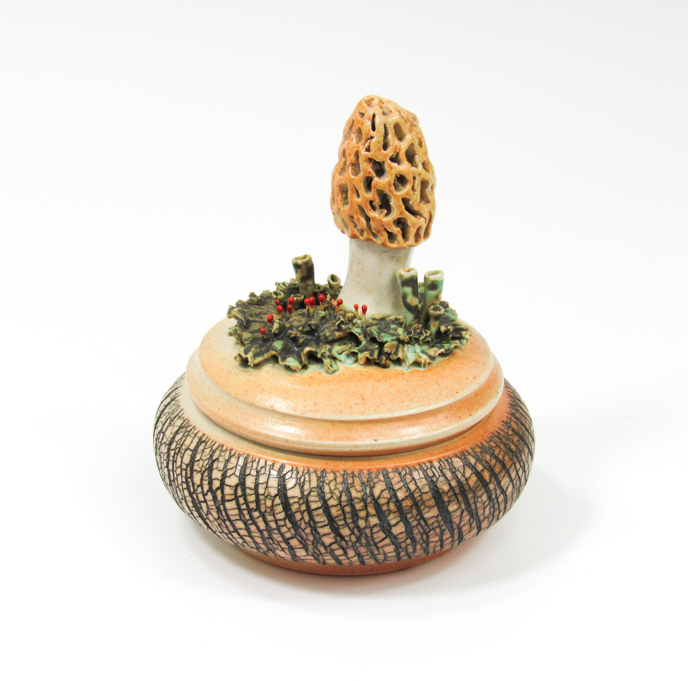Morel